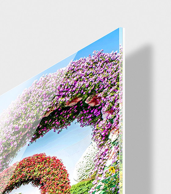 Acrylic Stud Print